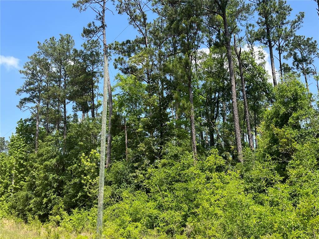 Property for sale at TBD GRAND QUIVIERA CIRCLE, ALFORD, FL, 32420