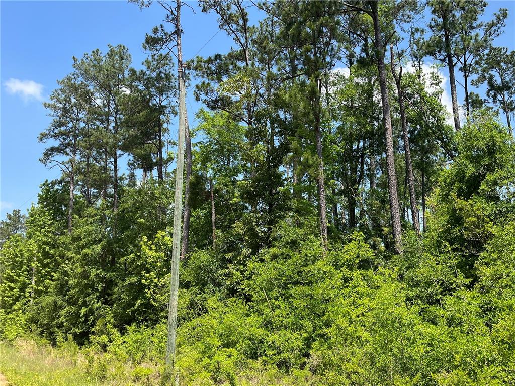 Property for sale at TBD GRAND QUIVIERA CIRCLE, ALFORD, FL, 32420