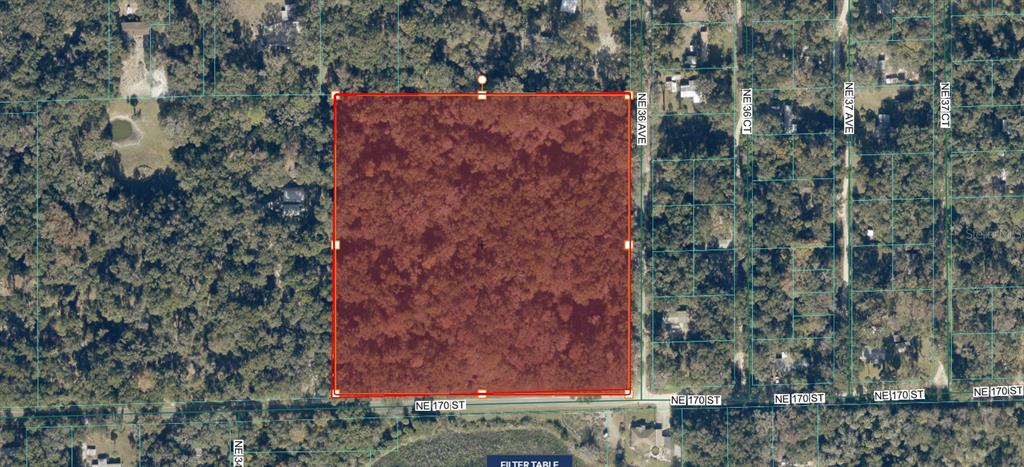Property for sale at TBD NE 170TH STREET, CITRA, FL, 32113