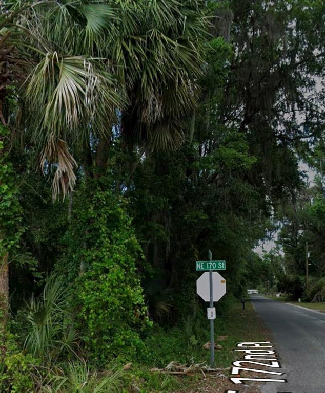 Property for sale at TBD NE 170TH STREET, CITRA, FL, 32113