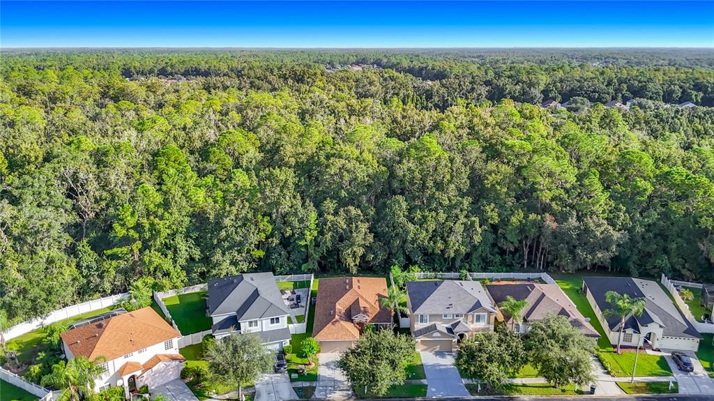 Property for sale at 4751 BARCHETTA, LAND O LAKES, FL, 34639