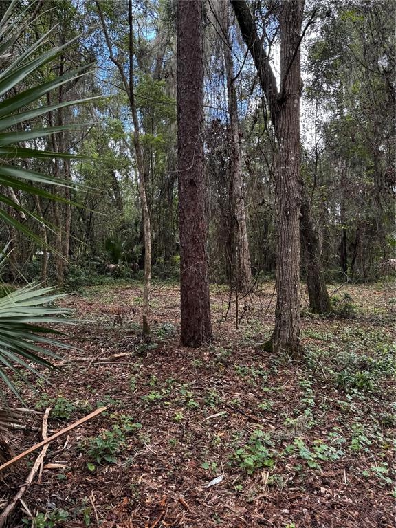 Property for sale at 1423 LEMON STREET, DELAND, FL, 32720