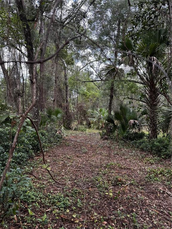 Nicely wooded