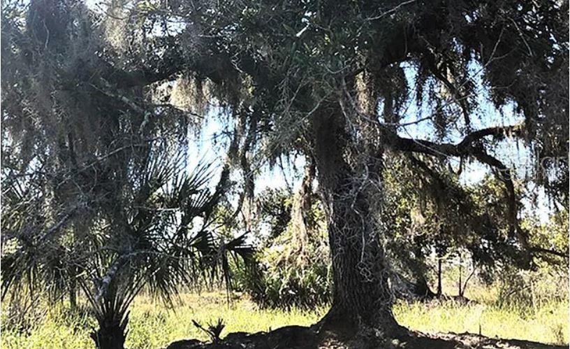 Property for sale at HWY 60 E, LAKE WALES, FL, 33898
