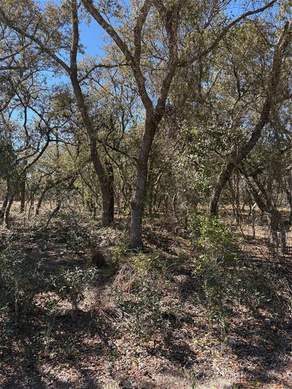 Property for sale at TBA SE SE 132ND COURT COURT, DUNNELLON, FL, 34431