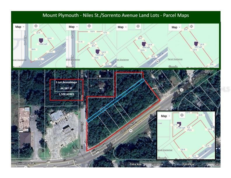 Property for sale at NILES STREET, MOUNT PLYMOUTH, FL, 32776