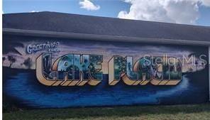 Lake Placid is known as The Town of Murals.