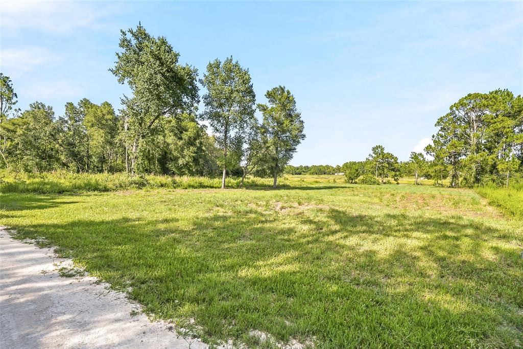 Property for sale at 100 BERRYHILL DRIVE, WEBSTER, FL, 33597