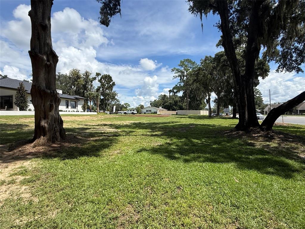 View from back of property looking towards SE 20th Ave.