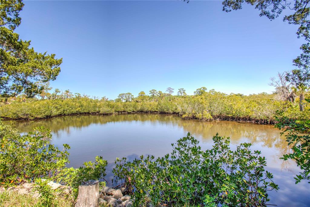Property for sale at 5274 MILLER BAYOU DRIVE, PORT RICHEY, FL, 34668