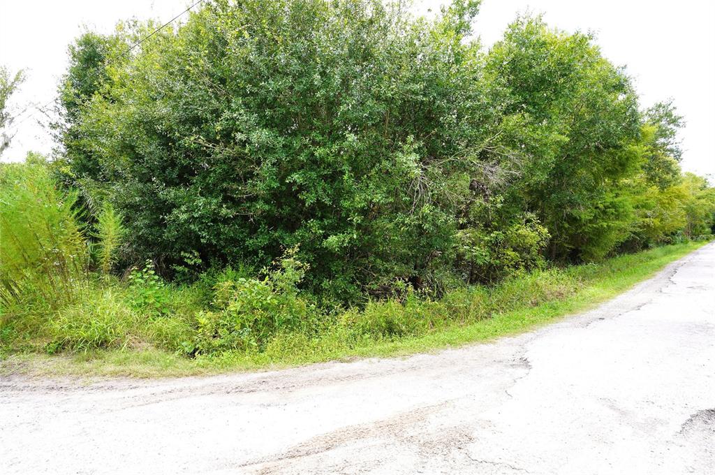 Property for sale at 2047 SW NASSAU AVENUE, ARCADIA, FL, 34266