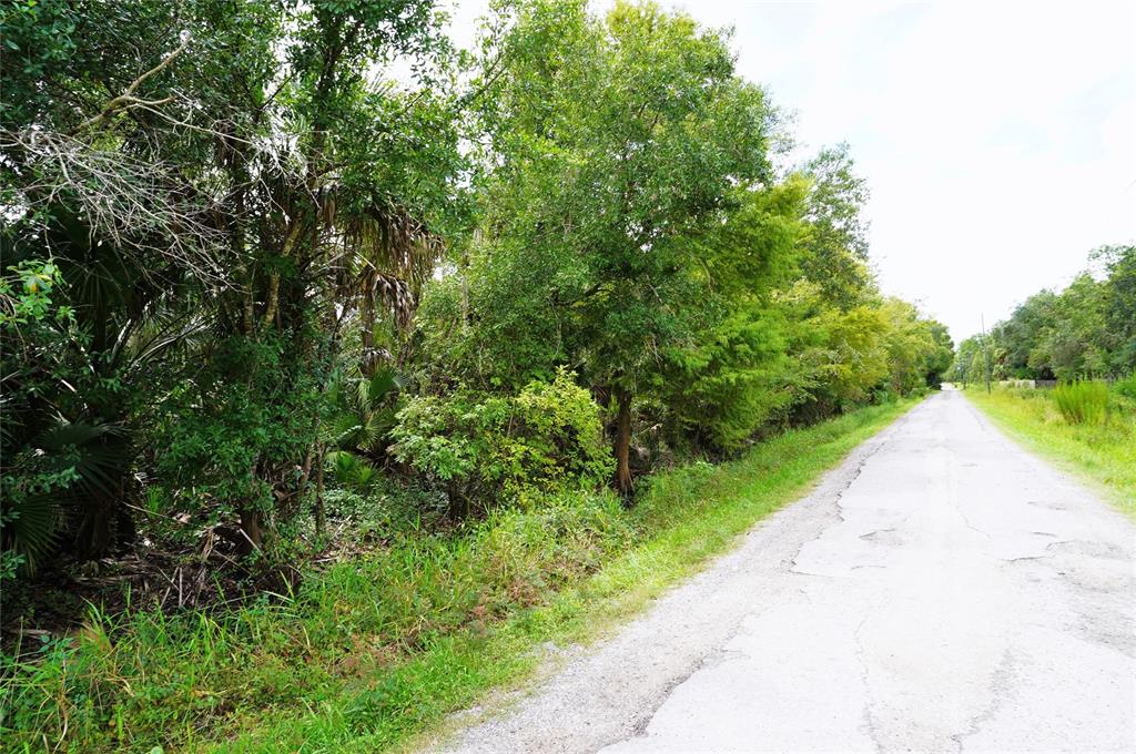 Property for sale at 2047 SW NASSAU AVENUE, ARCADIA, FL, 34266