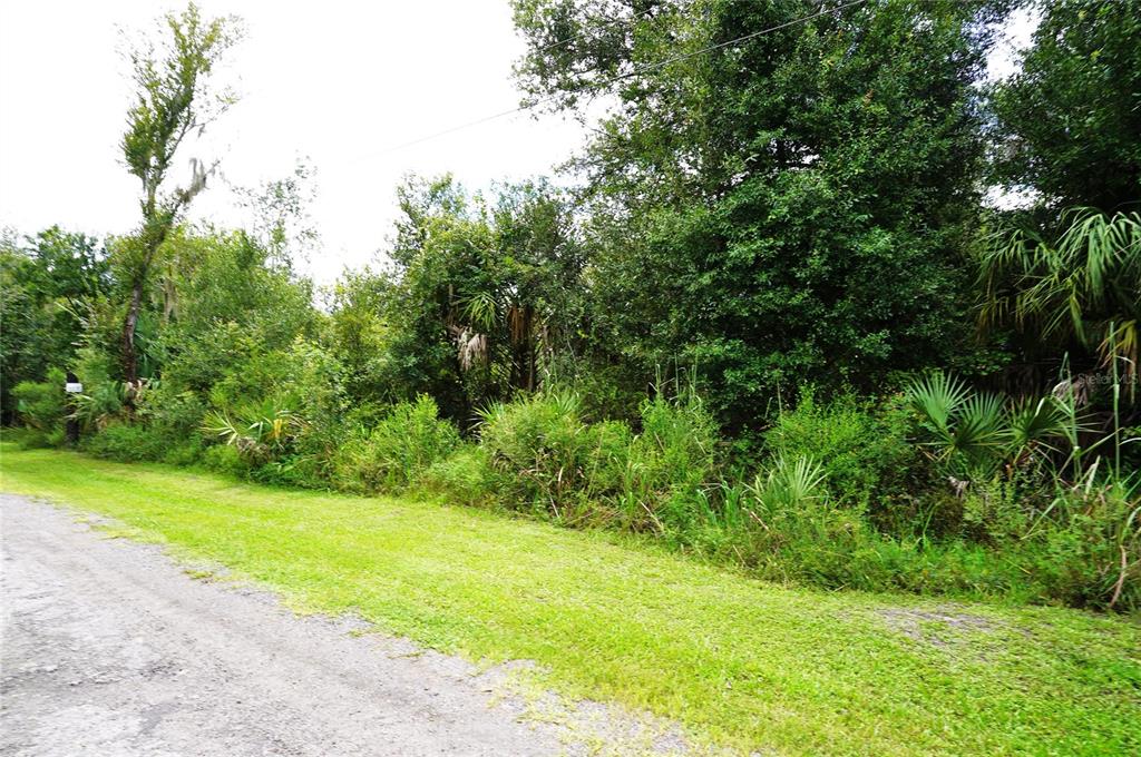 Property for sale at 2047 SW NASSAU AVENUE, ARCADIA, FL, 34266