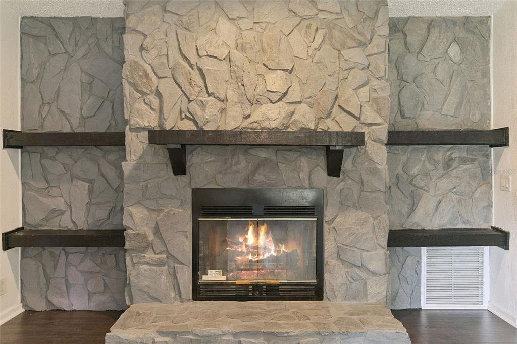 Fireplace in Great room