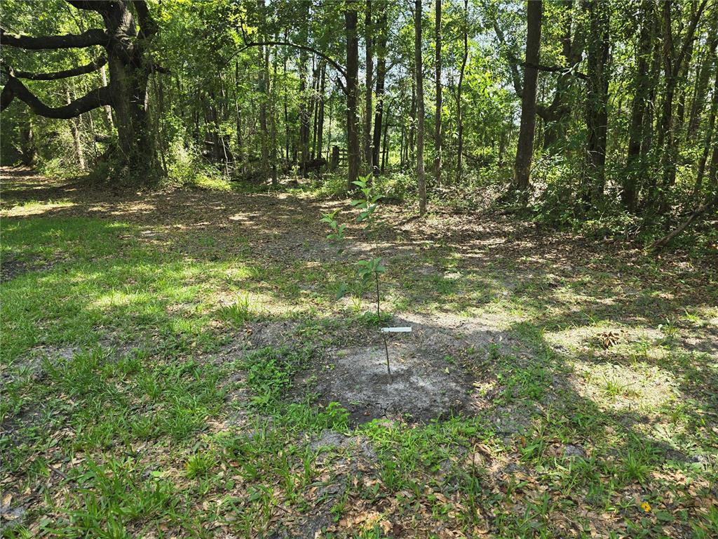 Property for sale at 11693 NW COUNTY ROAD 229, LAKE BUTLER, FL, 32054