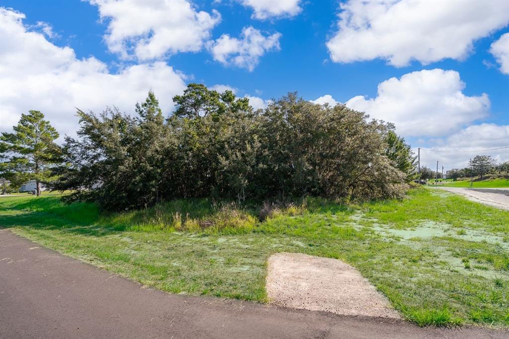 Property for sale at 174 MAPLE DRIVE, POINCIANA, FL, 34759