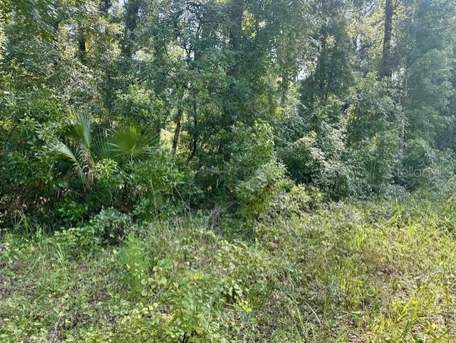Property for sale at NE 597TH STREET, OLD TOWN, FL, 32680