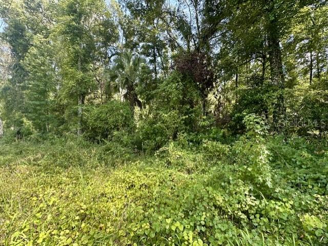 Property for sale at NE 597TH STREET, OLD TOWN, FL, 32680
