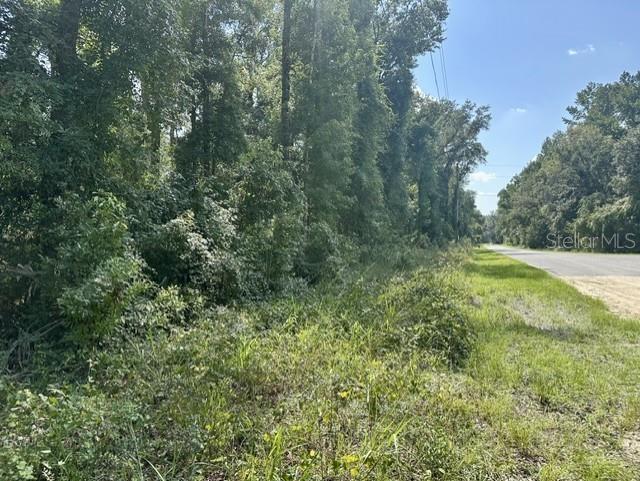 Property for sale at NE 597TH STREET, OLD TOWN, FL, 32680