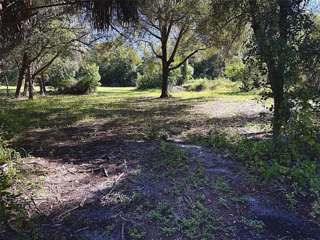 Property for sale at 9630 ELLIS STREET, NEW PORT RICHEY, FL, 34654