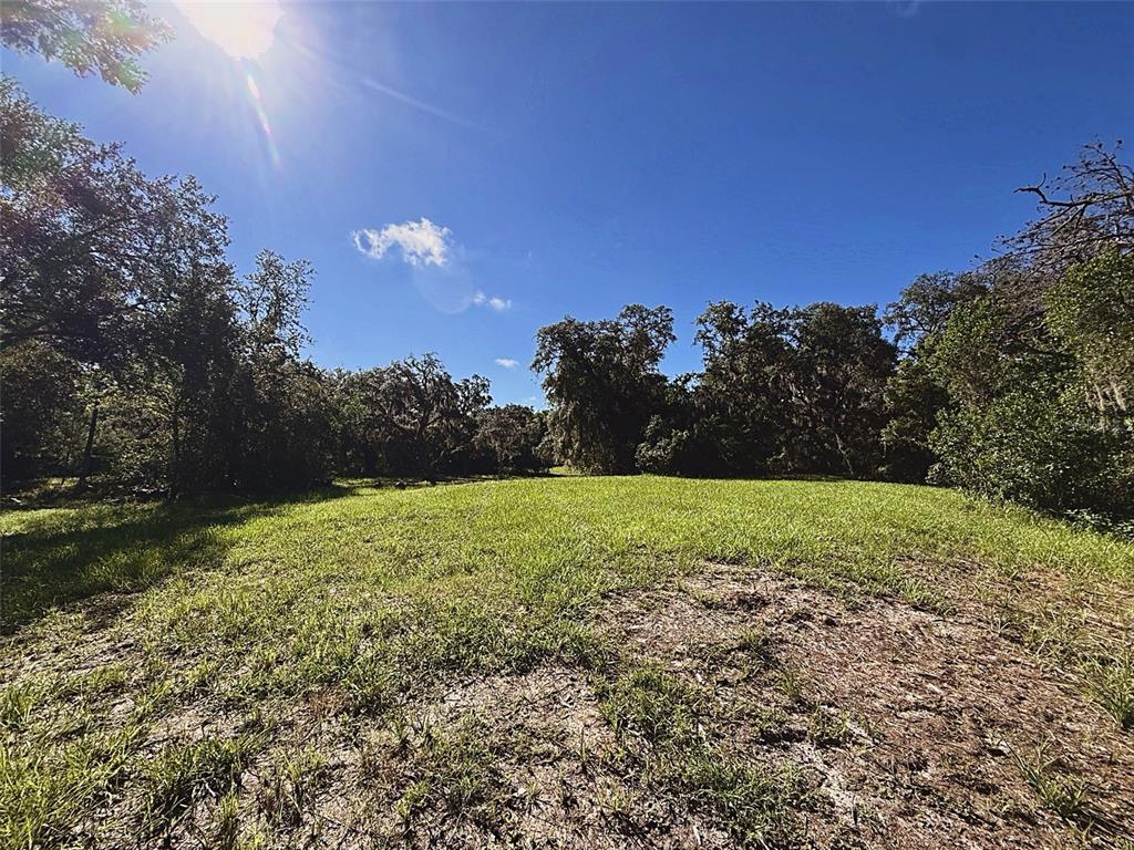 Property for sale at 9630 ELLIS STREET, NEW PORT RICHEY, FL, 34654