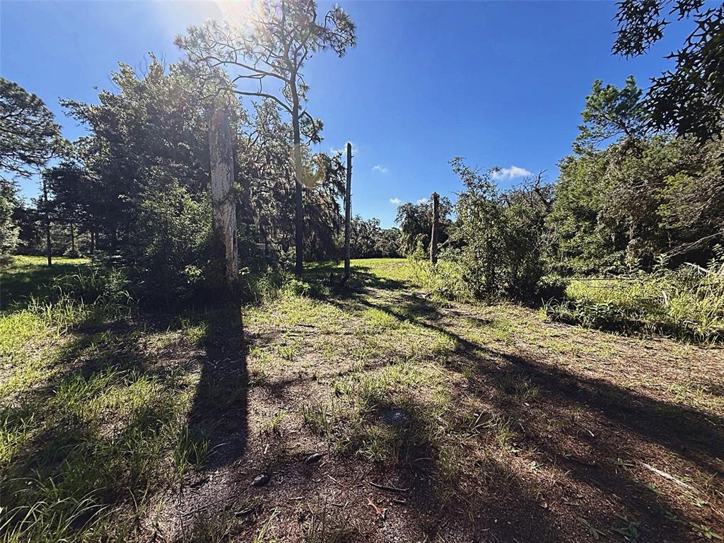Property for sale at 9630 ELLIS STREET, NEW PORT RICHEY, FL, 34654