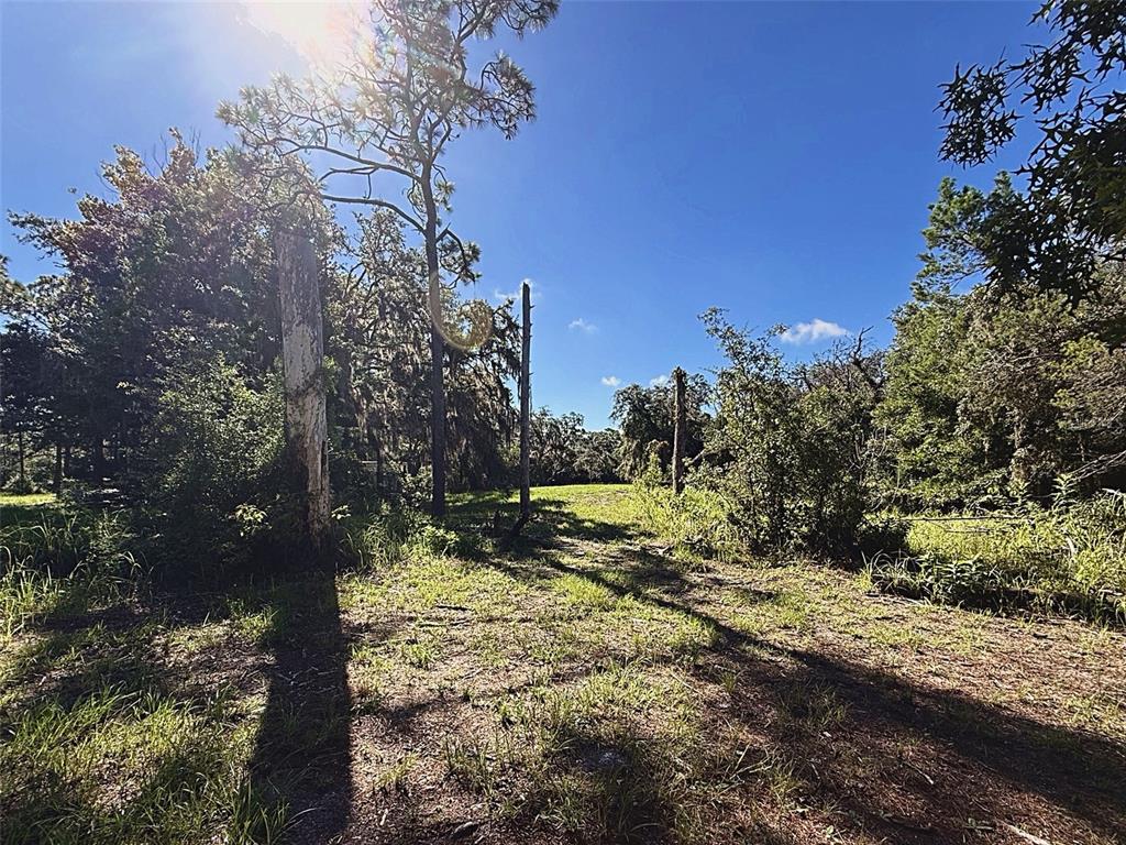 Property for sale at 9630 ELLIS STREET, NEW PORT RICHEY, FL, 34654