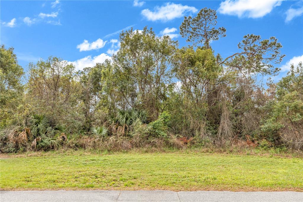 Property for sale at 205 PLUMOSA ROAD, DEBARY, FL, 32713
