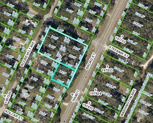 Property for sale at 0 BROAD STREET, BROOKSVILLE, FL, 34604