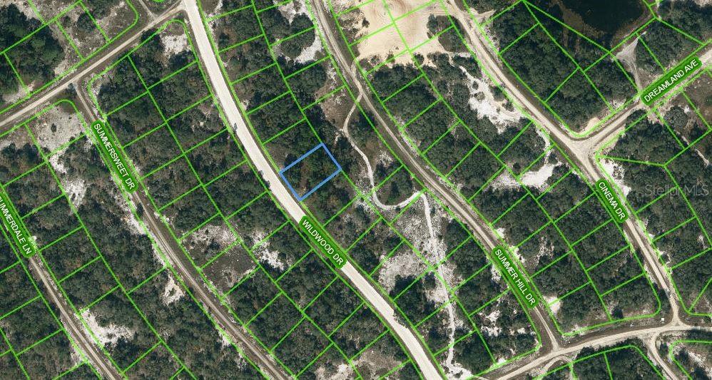 Property for sale at 315 WILDWOOD DRIVE, LAKE PLACID, FL, 33852