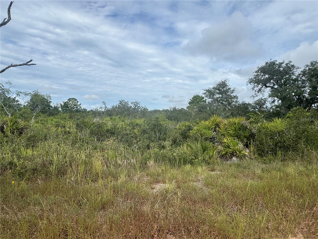Property for sale at 3022 W PETALUMA ROAD, AVON PARK, FL, 33825