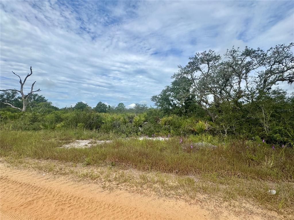 Property for sale at 3022 W PETALUMA ROAD, AVON PARK, FL, 33825