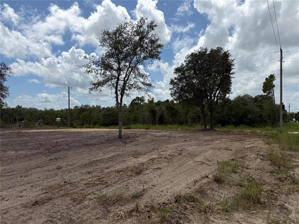 Property for sale at TBD NE 88TH LANE, BRONSON, FL, 32621