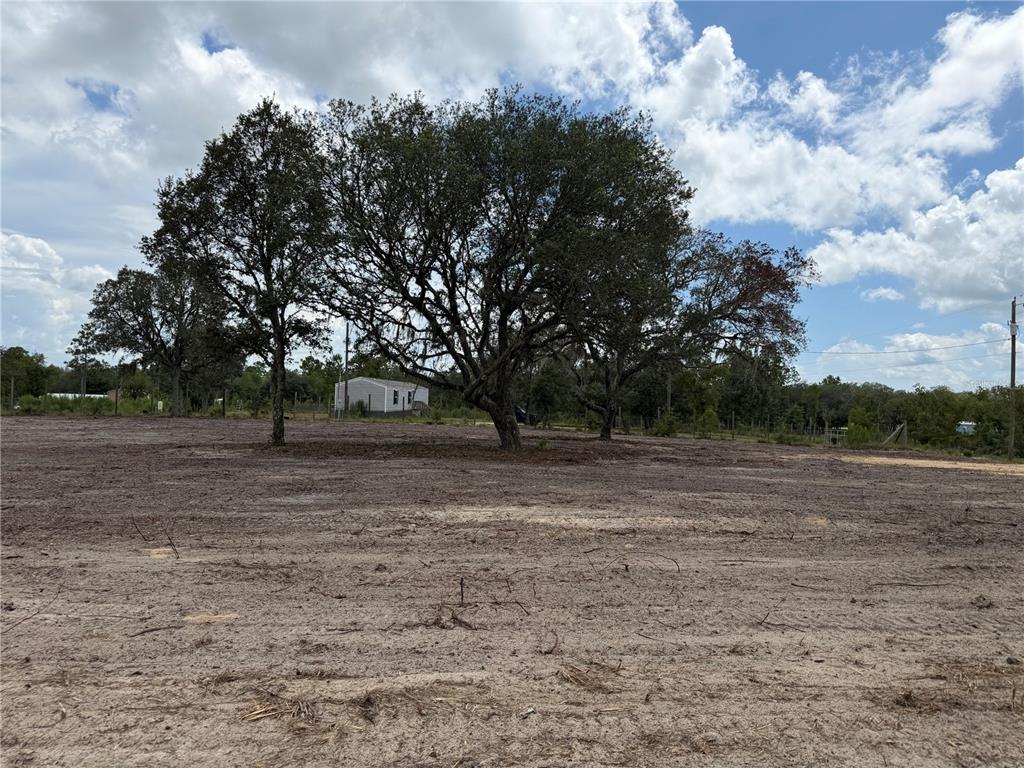 Property for sale at TBD NE 88TH LANE, BRONSON, FL, 32621