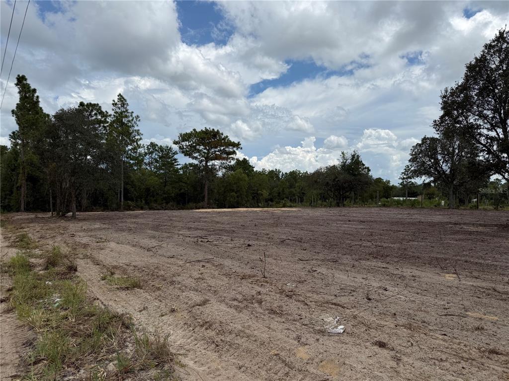 Property for sale at TBD NE 88TH LANE, BRONSON, FL, 32621