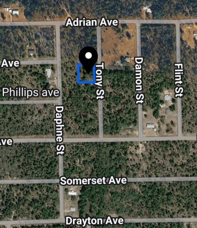 Property for sale at TOBY STREET, INTERLACHEN, FL, 32148