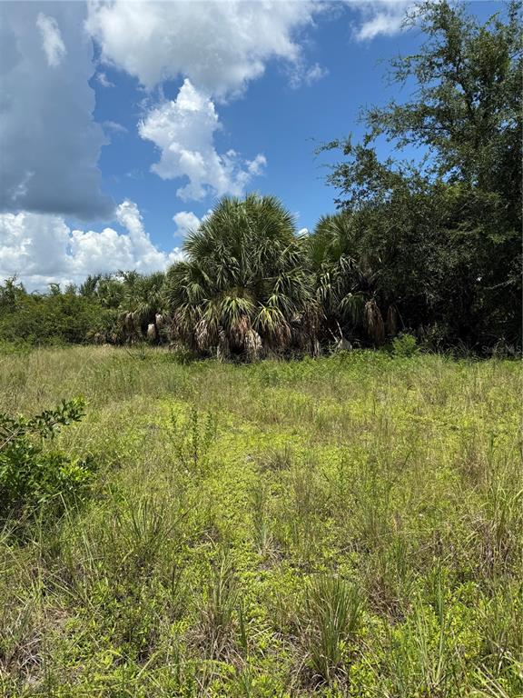 Property for sale at 14194 and 14202 BARNWOOD LANE, PORT CHARLOTTE, FL, 33981