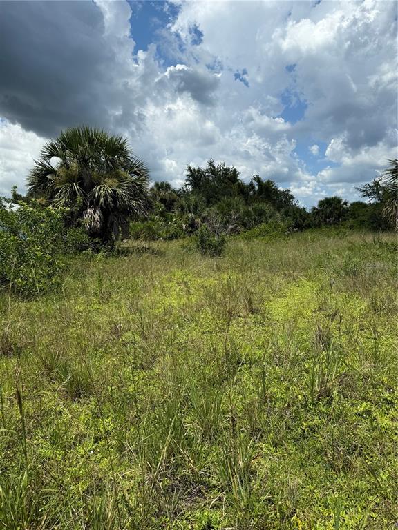 Property for sale at 14194 and 14202 BARNWOOD LANE, PORT CHARLOTTE, FL, 33981