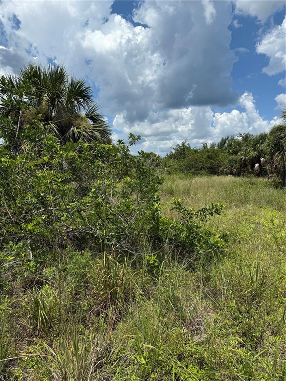 Property for sale at 14194 and 14202 BARNWOOD LANE, PORT CHARLOTTE, FL, 33981