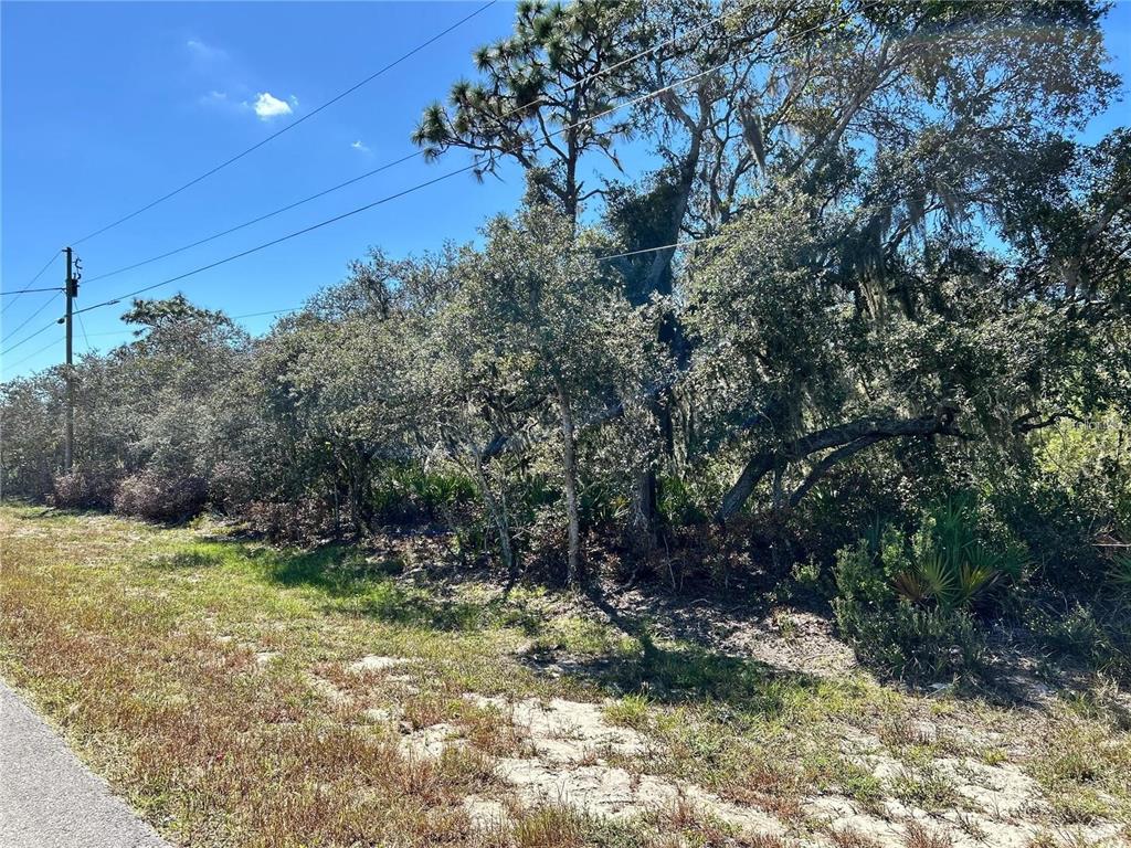 Property for sale at WOODSTORK WAY, FROSTPROOF, FL, 33843