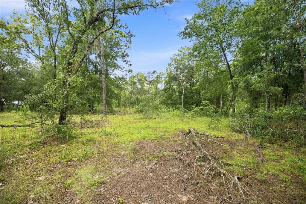 Property for sale at 21350 SE 66TH STREET, MORRISTON, FL, 32668