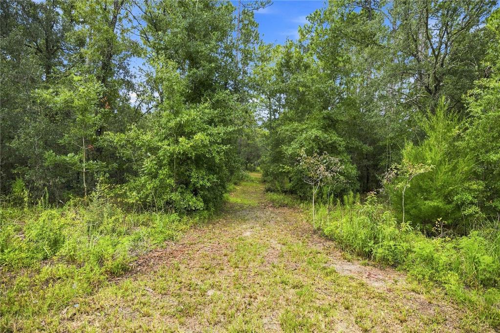 Property for sale at 21350 SE 66TH STREET, MORRISTON, FL, 32668