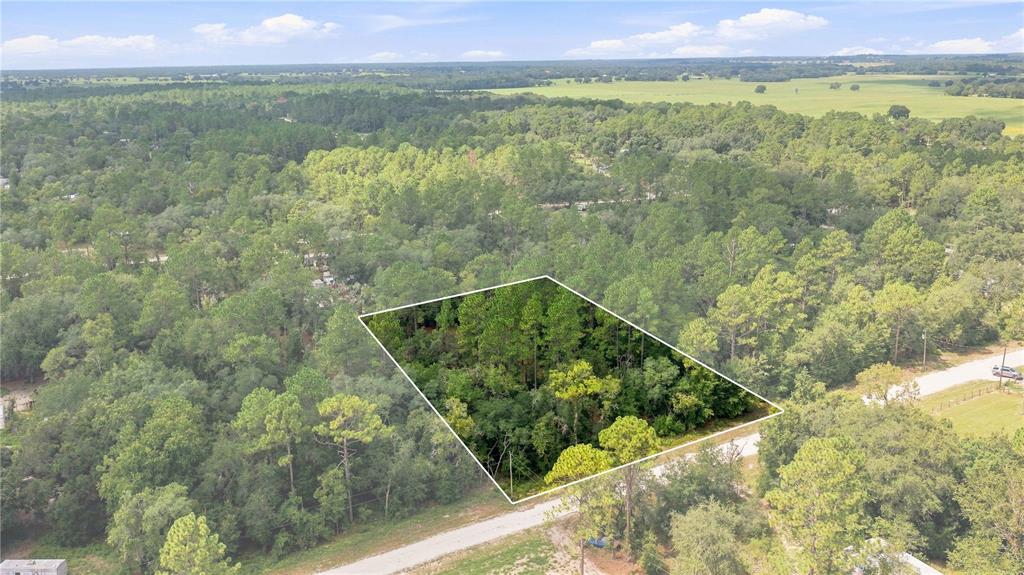 Property for sale at 21350 SE 66TH STREET, MORRISTON, FL, 32668