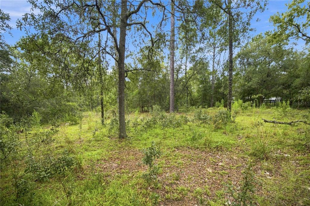 Property for sale at 21350 SE 66TH STREET, MORRISTON, FL, 32668