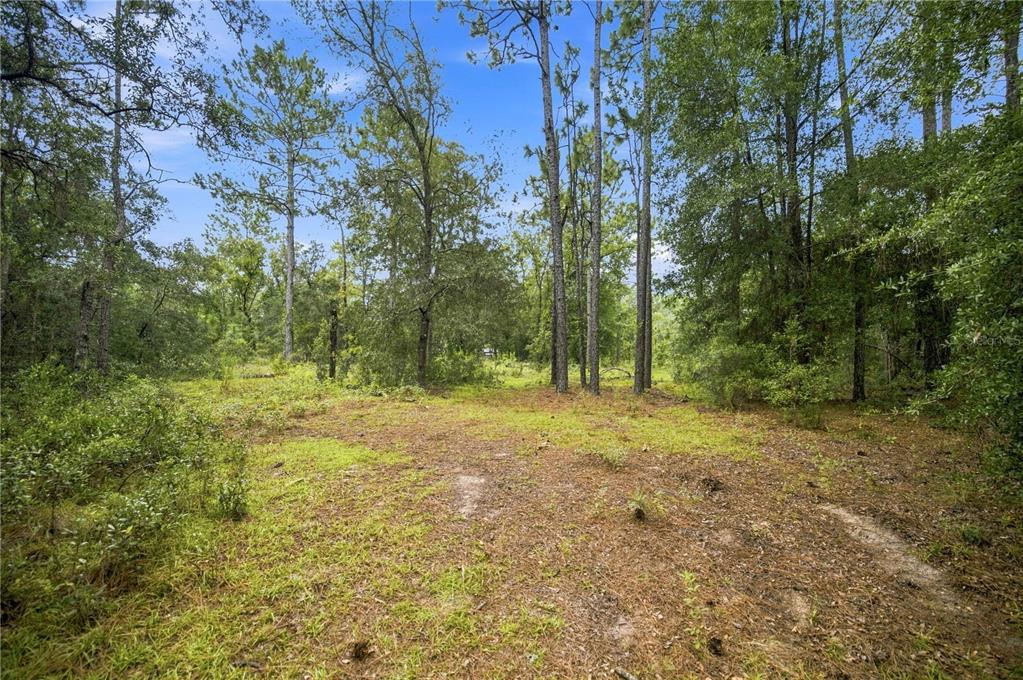 Property for sale at 21350 SE 66TH STREET, MORRISTON, FL, 32668