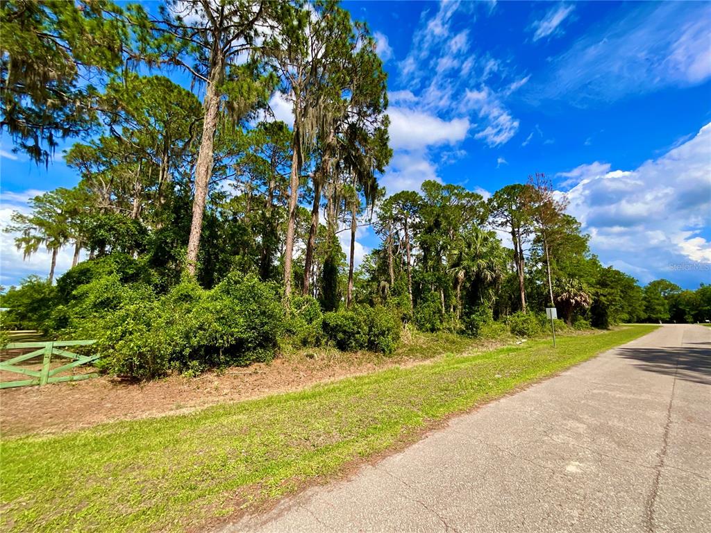 Property for sale at 14211 SE 201ST TERRACE, HAWTHORNE, FL, 32640