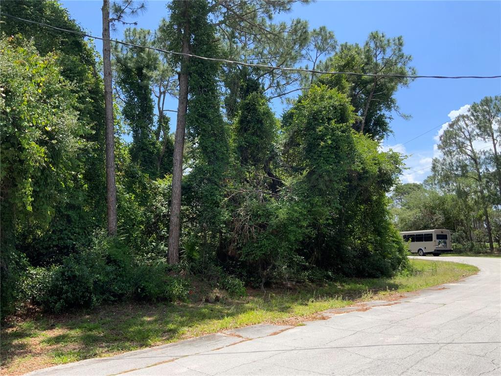 Property is to Right of Utility Pole - Survey Needed for Exact Boundaries
