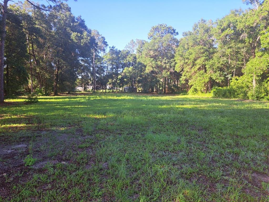 Property for sale at 00 SW 55TH STREET, OCALA, FL, 34481