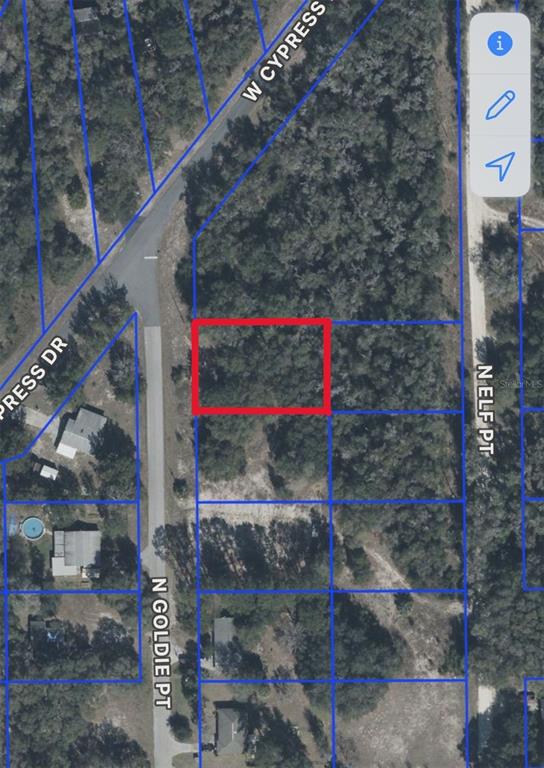 Property for sale at 12405 N GOLDIE POINT, DUNNELLON, FL, 34433