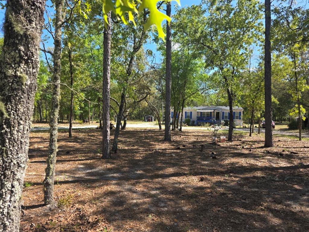 Property for sale at 10630 NE 80TH STREET, BRONSON, FL, 32621